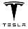 Tesla Icon
