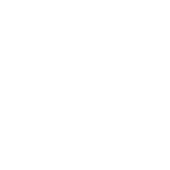 Local Engineering Expertise